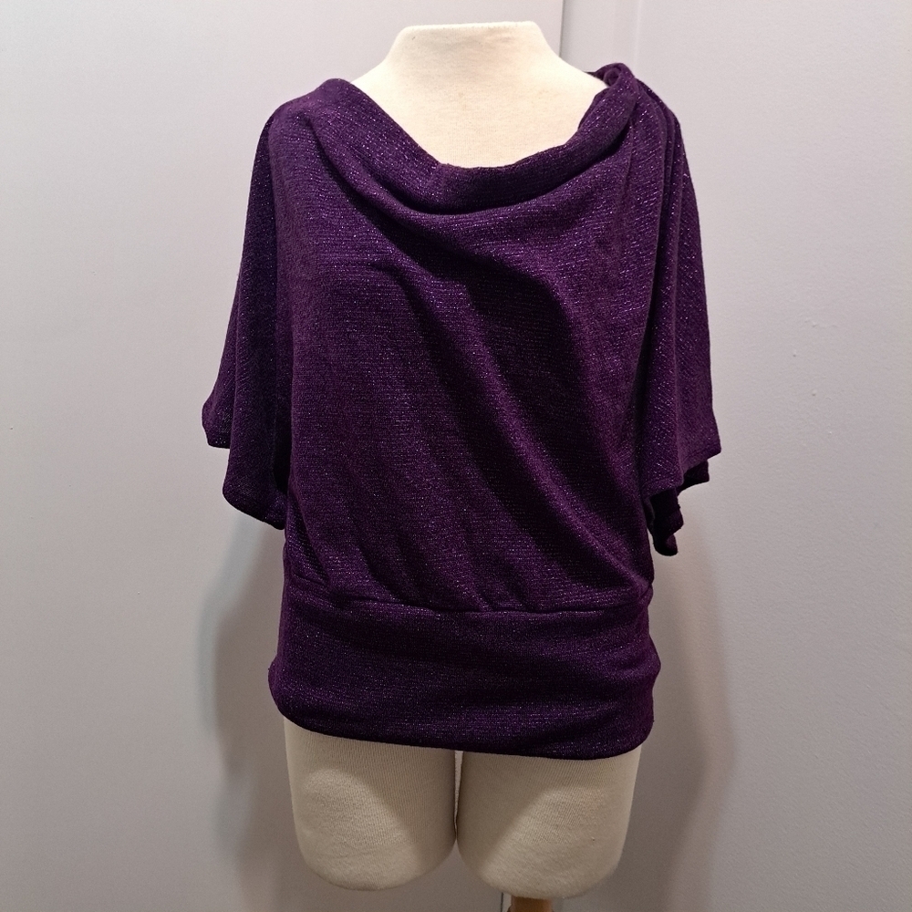 Notations Shimmering Purple Metallic Wide Neck Blouse Size Large